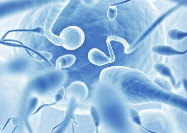 Азооспермия